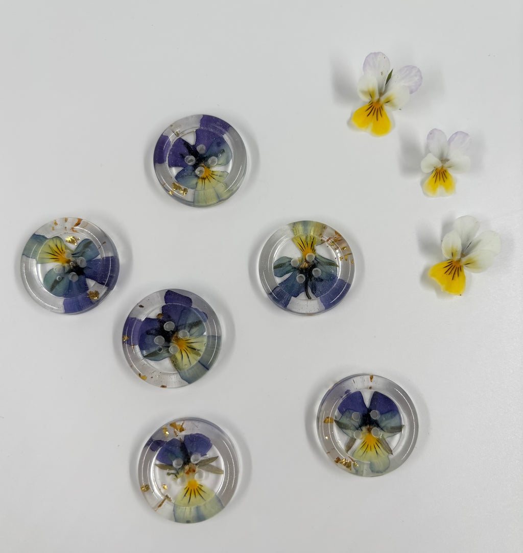 Viola